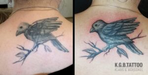 Cover-cover up
