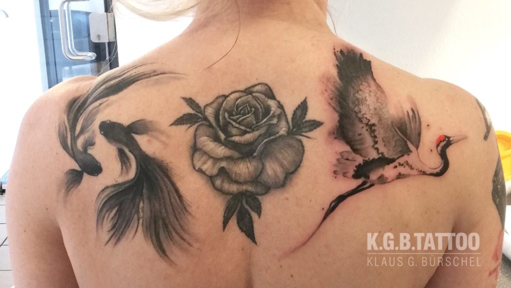 Kranich frisch, Fische 2,5 Wochen, Rose 2 Jahre alt.
