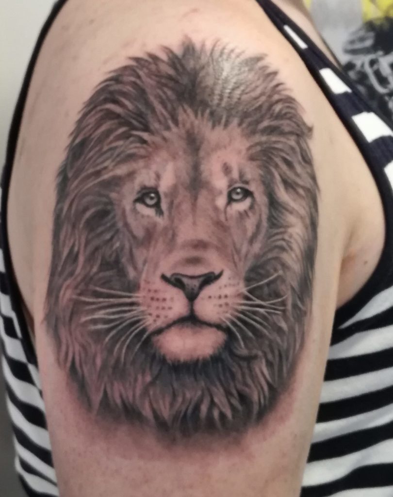 Lion again :)
