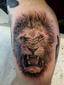  Lions
