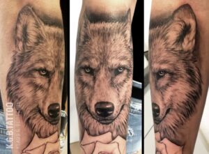 Sleeve in progress
