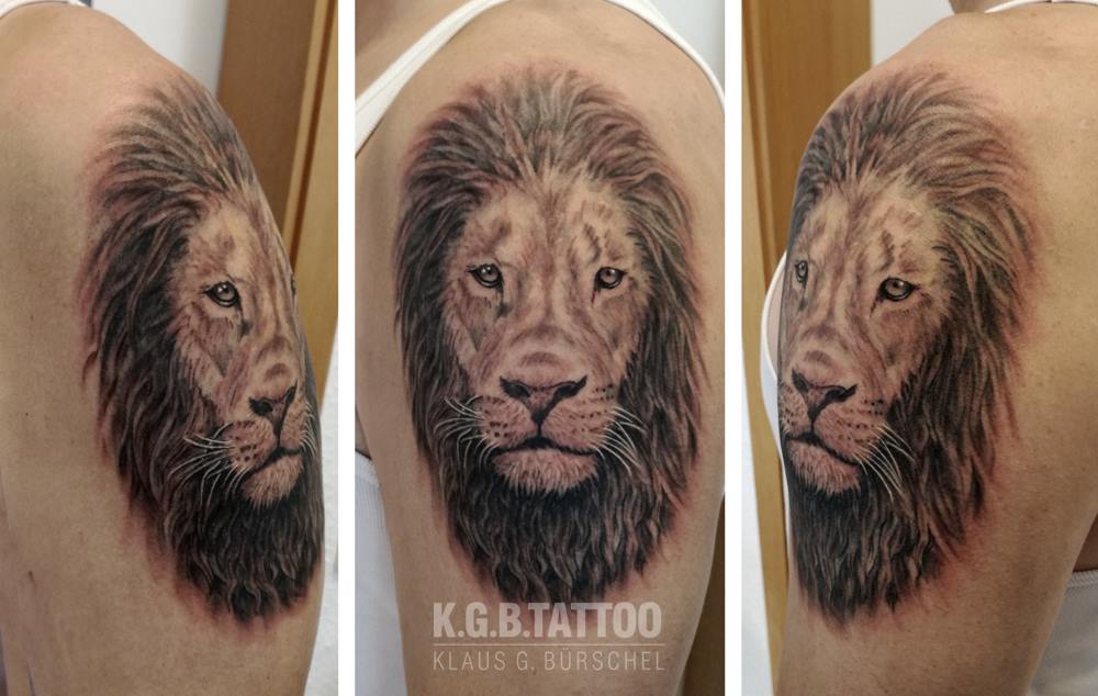 ... aber Tiger sind auch schön.
