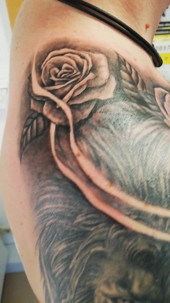 Cover Up ansehen